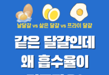단백질 섭취에 최적인 달걀 조리법은? 과학이 말해주는 정답
