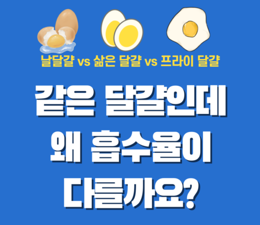 단백질 섭취에 최적인 달걀 조리법은? 과학이 말해주는 정답