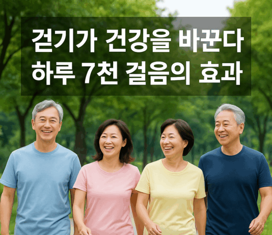 하루 7천 걸음이 만드는 몸의 변화… 걷기의 재발견